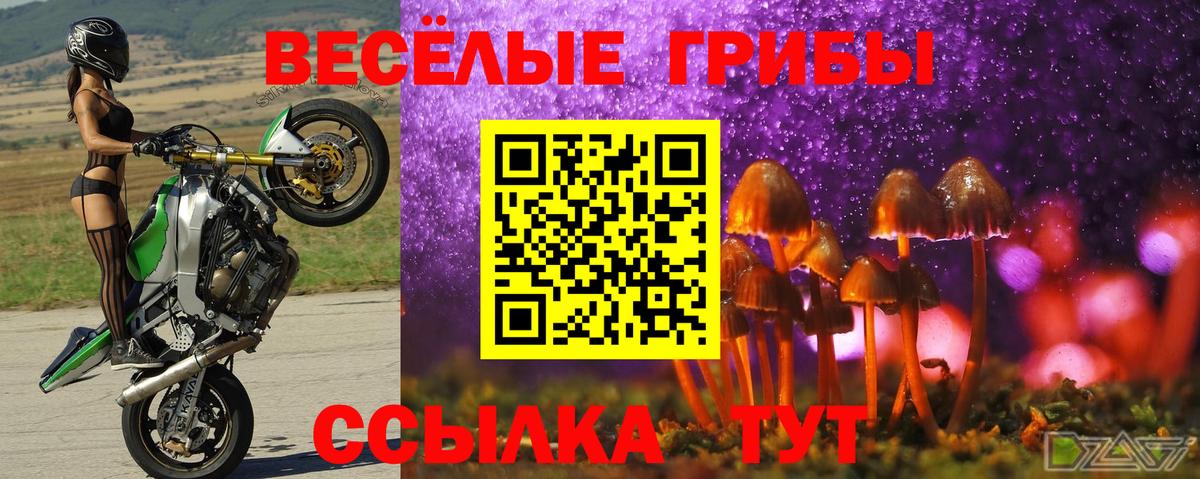 Ленинск-Кузнецкий  Галлюциногенные грибы Psilocybe  Вход с VPN 