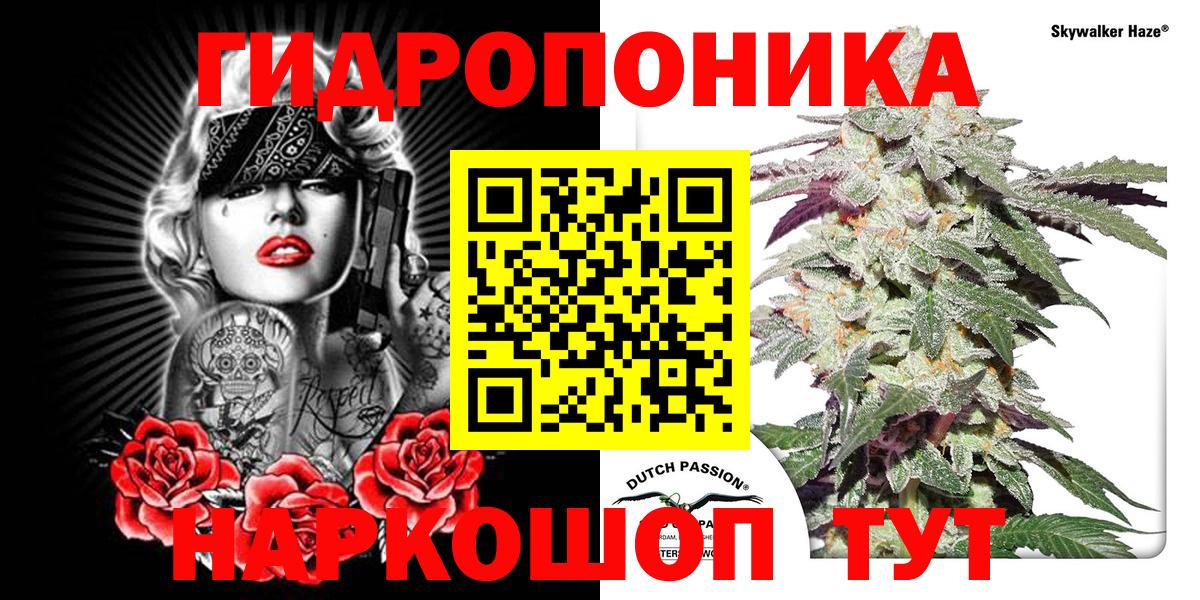 Марихуана сатива  Каннабис индика  Марихуана индика  Вход с VPN  Ленинск-Кузнецкий  Канабис White Widow 